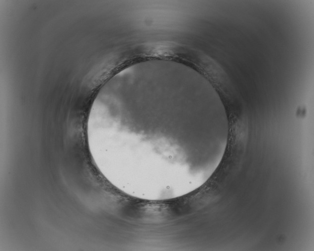 X0000111140415200907211143