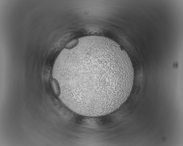 X0000111140417200907211143