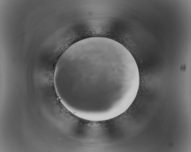 X0000111140419200907211143