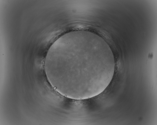 X0000111140423200907211143