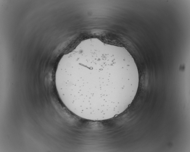 X0000111140424200907211143