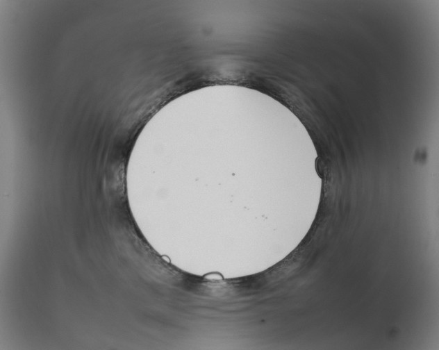 X0000111140425200907211143