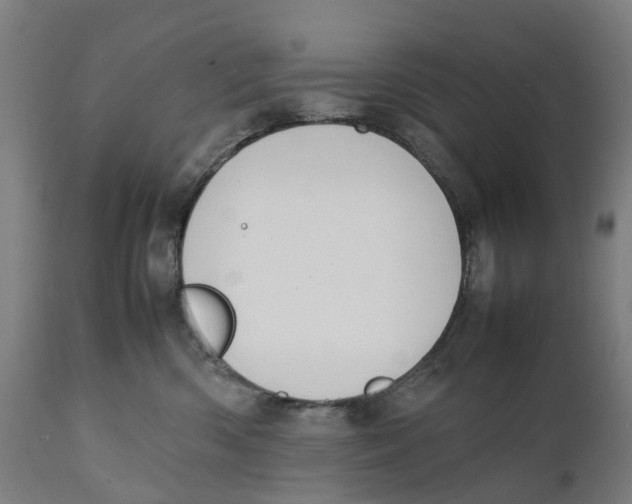 X0000111140426200907211143