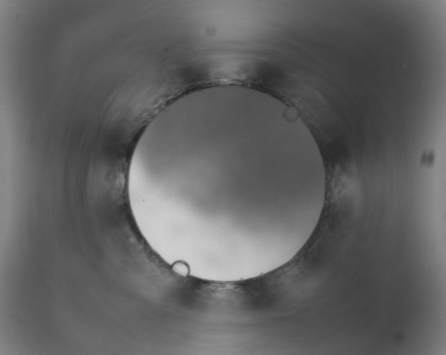 X0000111140427200907211143