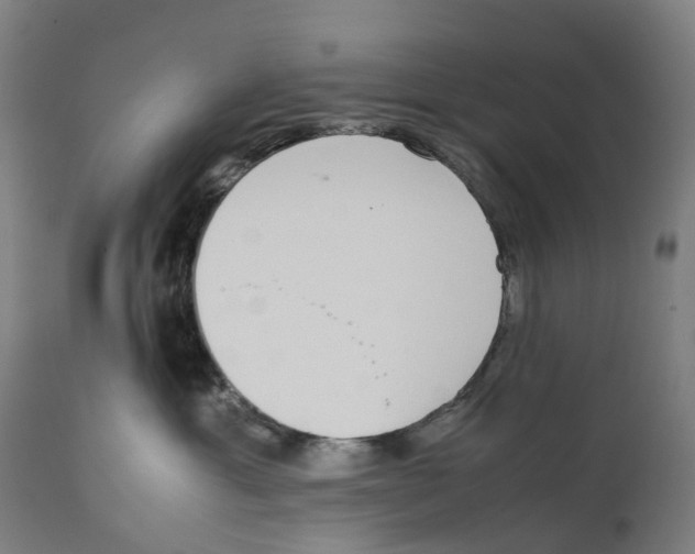 X0000111140429200907211143