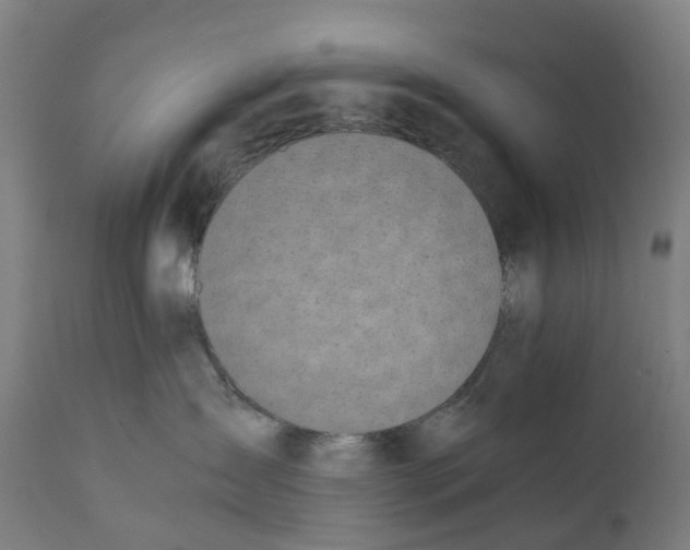 X0000111140431200907211143