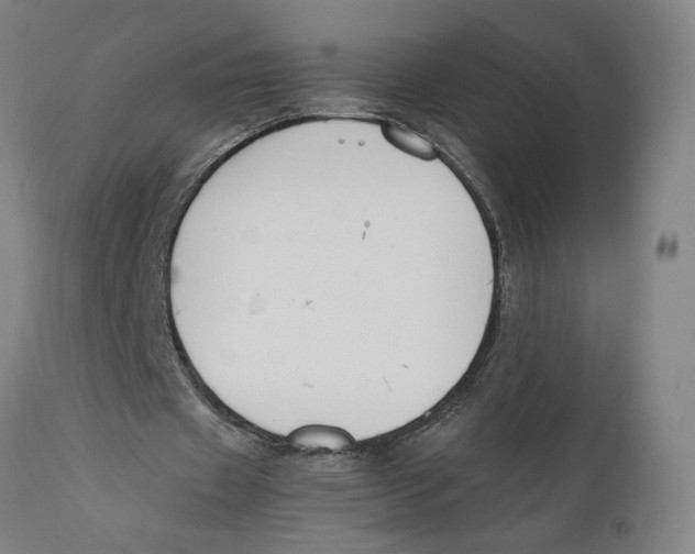 X0000111140433200907211142