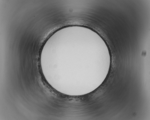 X0000111140434200907211142