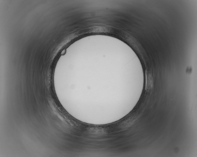 X0000111140435200907211142