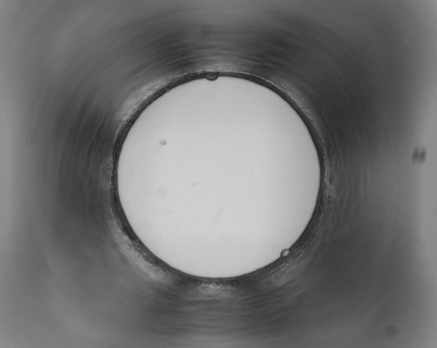 X0000111140437200907211142