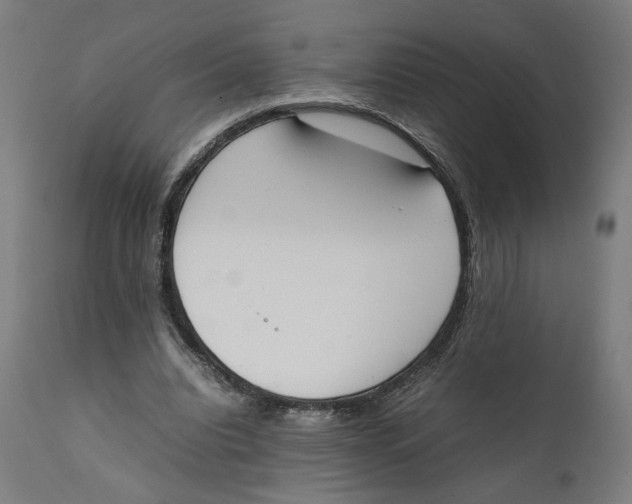 X0000111140440200907211142