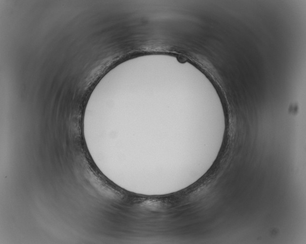 X0000111140441200907211142