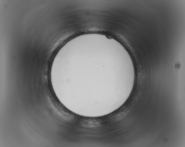 X0000111140443200907211142