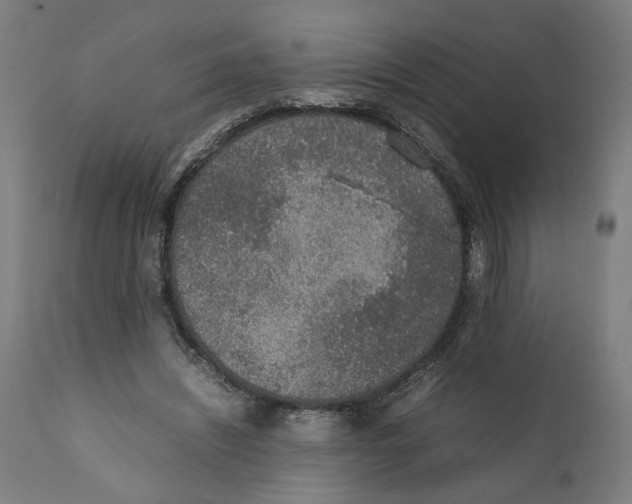 X0000111140444200907211142