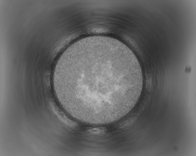 X0000111140447200907211143