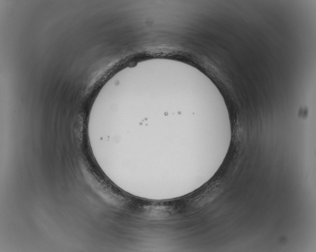 X0000111140448200907211143