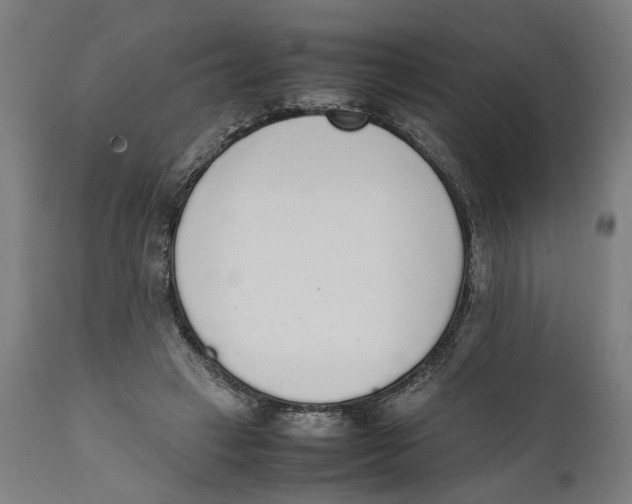 X0000111140449200907211143