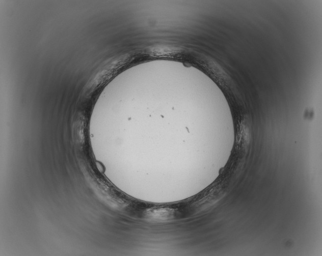 X0000111140452200907211143