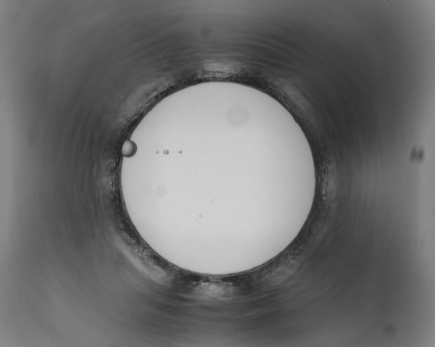 X0000111140455200907211143