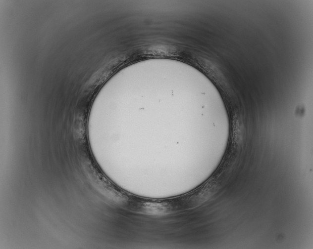 X0000111140457200907211143