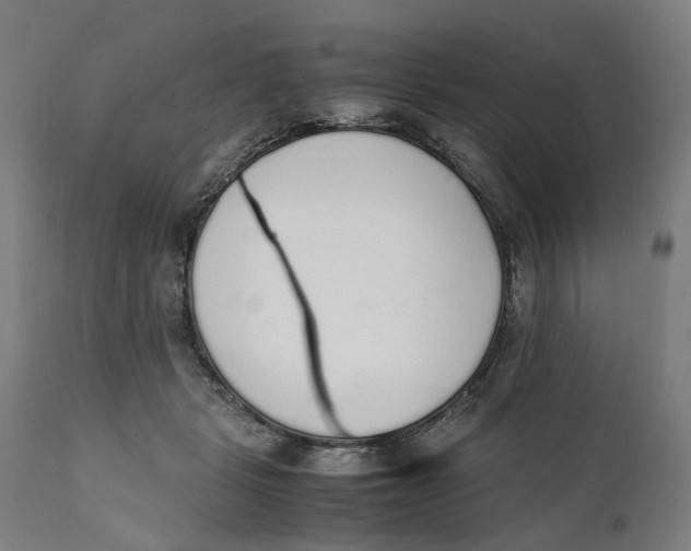 X0000111140461200907211143