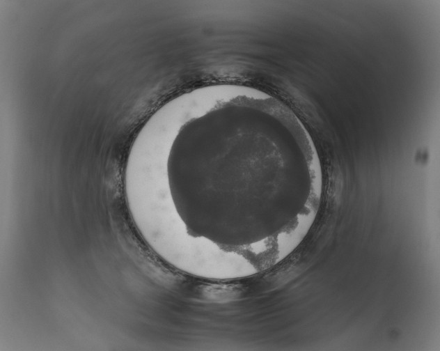 X0000111140465200907211143