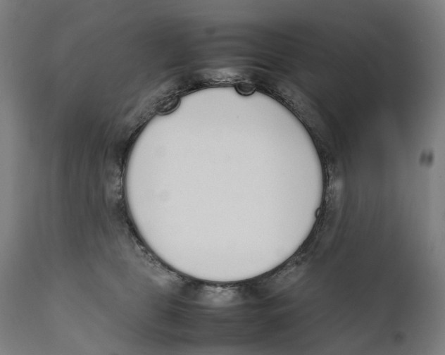 X0000111140469200907211143