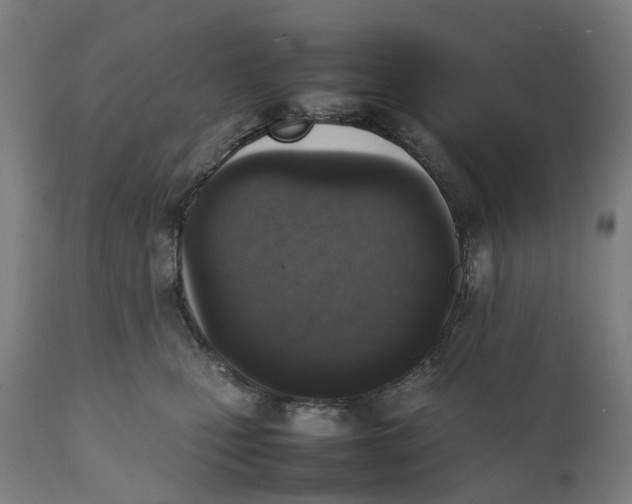 X0000111140471200907211143