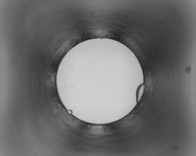 X0000111140473200907211143