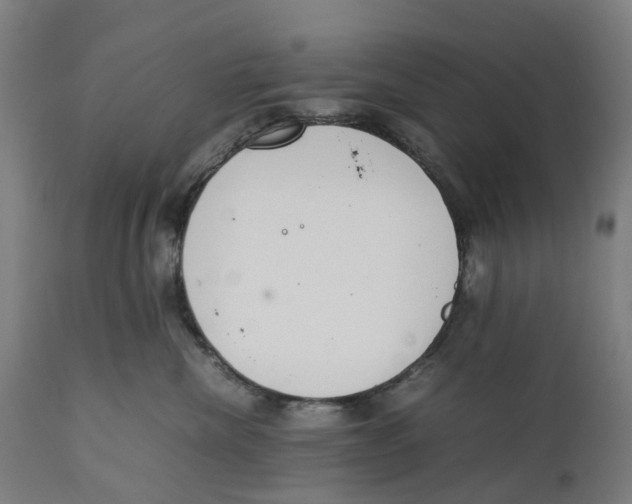 X0000111140476200907211143