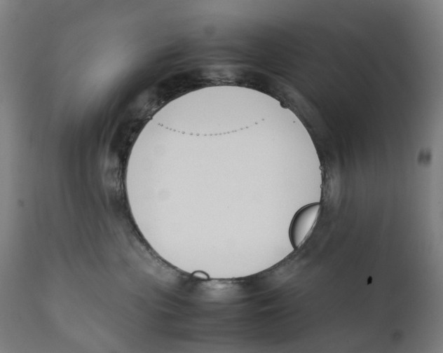 X0000111140477200907211143