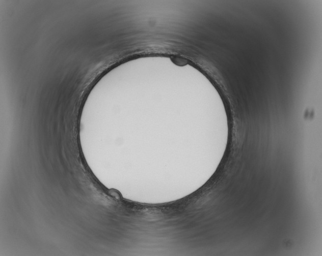 X0000111140481200907211142