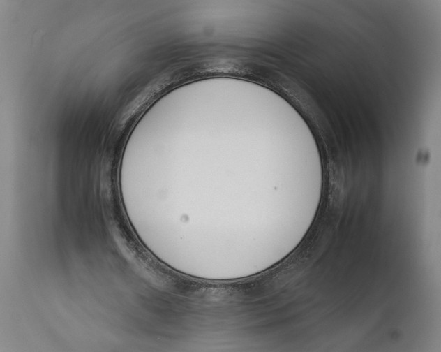 X0000111140482200907211142