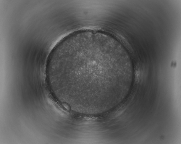 X0000111140484200907211142