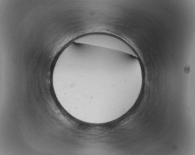 X0000111140485200907211142