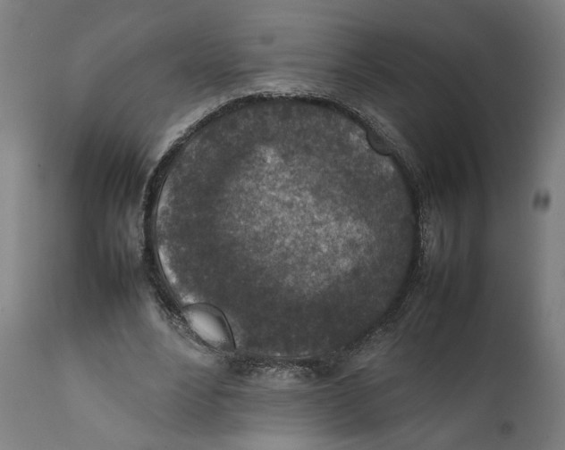 X0000111140488200907211142