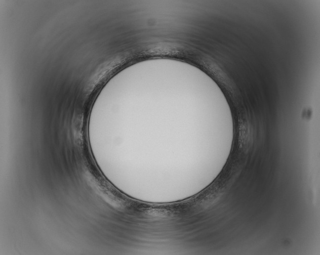 X0000111140490200907211142