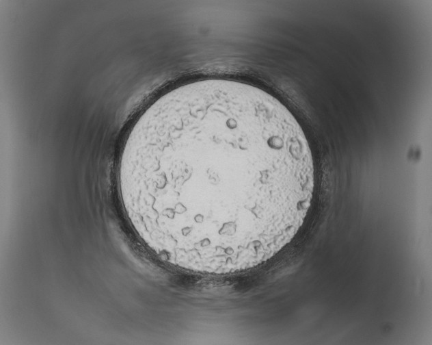 X0000111140491200907211142