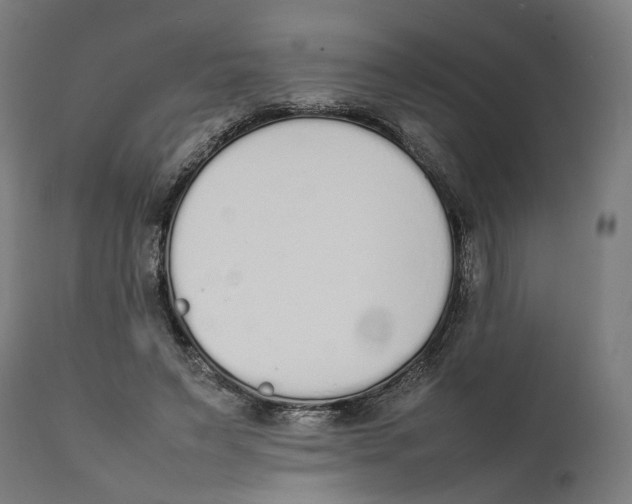 X0000111140495200907211142