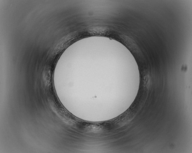 X0000111140498200907211142