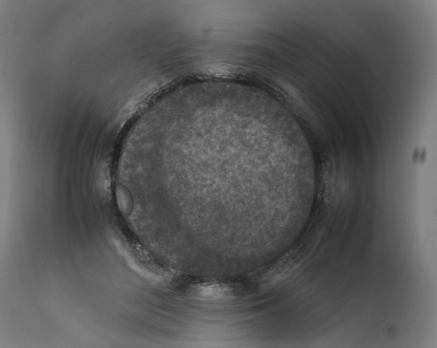 X0000111140500200907211142