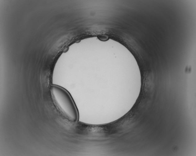 X0000111140501200907211142