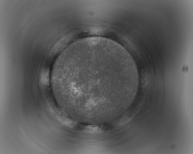 X0000111140502200907211142