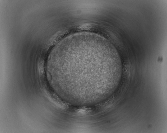 X0000111140504200907211142