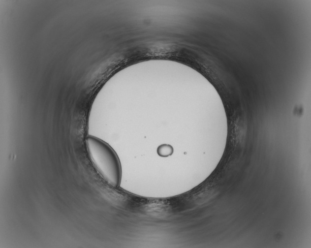 X0000111140505200907211142