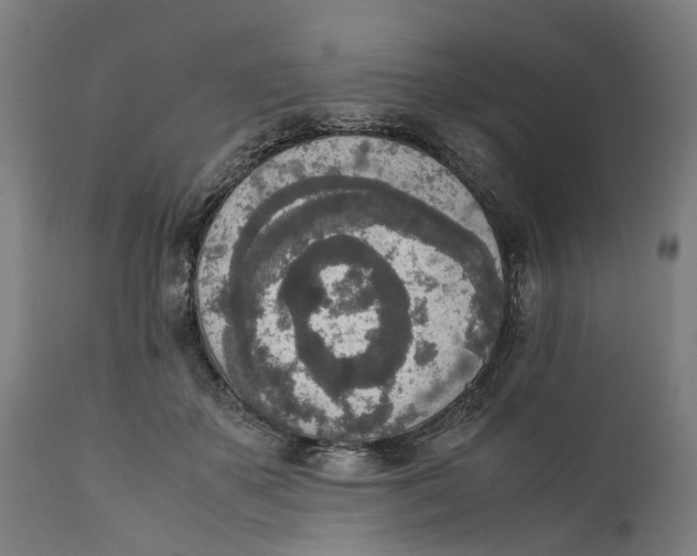 X0000111140507200907211142