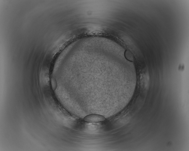 X0000111140508200907211142