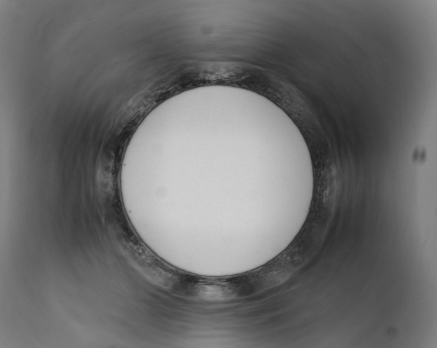 X0000111140510200907211142