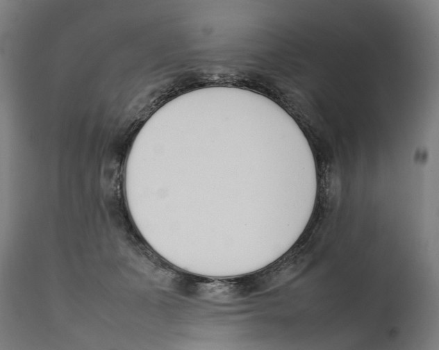 X0000111140511200907211142