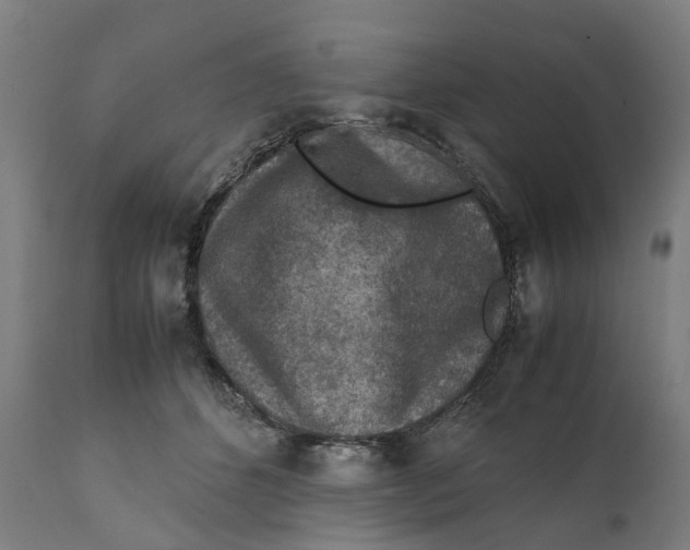 X0000111140512200907211142